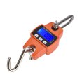 thumbnail image 3 of Cergrey Digital Hanging Scale,Mini Crane Scale,661.4lb Digital Hanging Scale Professional Small Digital Hanging Scale With Cast Aluminum Case, 3 of 8