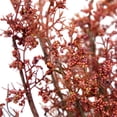 thumbnail image 6 of Northlight Pip Berry Clusters Artificial Fall Harvest Twig Wreath - 24", 6 of 6