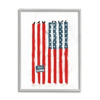 Stupell Industries American Flag Birds on Wall Political Statement Gray Framed by Balazs Solti
