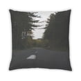 thumbnail image 2 of Ahgly Company Transportation Road Coussin d'Intérieur, 18 Pouces par 18 Pouces, 2 of 6