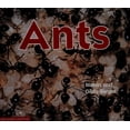 thumbnail image 1 of Pre-Owned Ants (Hardcover) 043944537X 9780439445375, 1 of 1