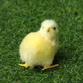 thumbnail image 5 of Mini Scene Model Home Decoration Easter Plush Chick Simulation Furry Chicken Lifelike Bird Kids Toy TYPE 1, 5 of 8