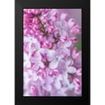 thumbnail image 2 of Murdock, Ramona 11x14 Black Modern Framed Museum Art Print Titled - Spring Lilacs III, 2 of 5