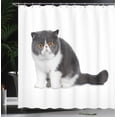 thumbnail image 3 of Ambesonne Kitty Shower Curtain, Surprised Cat Plain Back View, 69"Wx84"L, Charcoal Grey White and Tan, 3 of 4