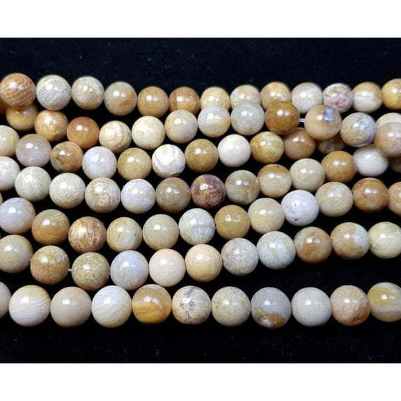 8mm 15.5 Inches Fossil Coral Jasper Round Beads For Jewelry Making