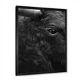 thumbnail image 2 of Designart 'Close Up Of Eye Of A Bull' Farmhouse Framed Art Print, 2 of 4