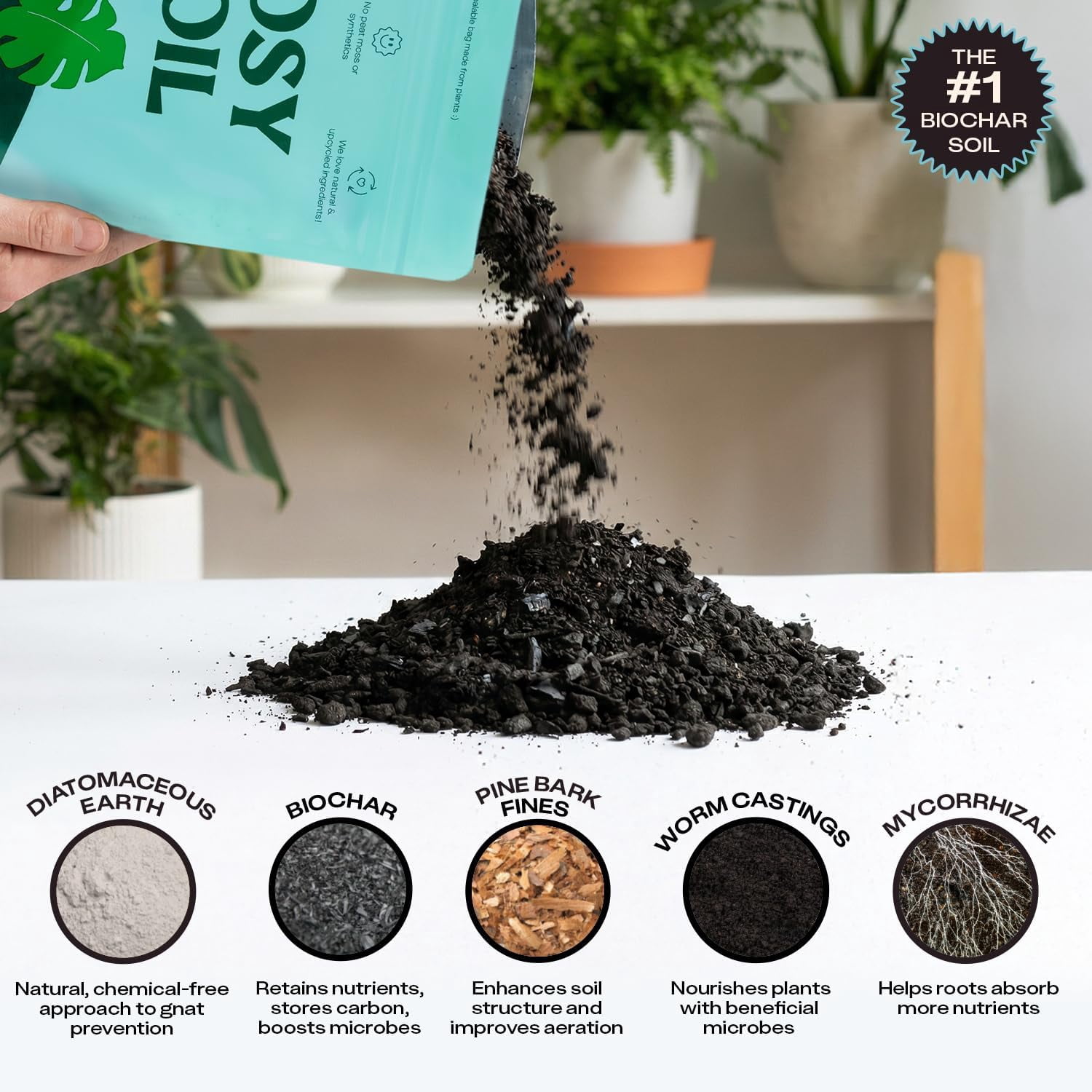 Rosy Soil Indoor Potting Soil Mix for Houseplants, Organic Peat Free Soil with Biochar, Root Boosting Living Soil for Indoor Plants, 8 qt