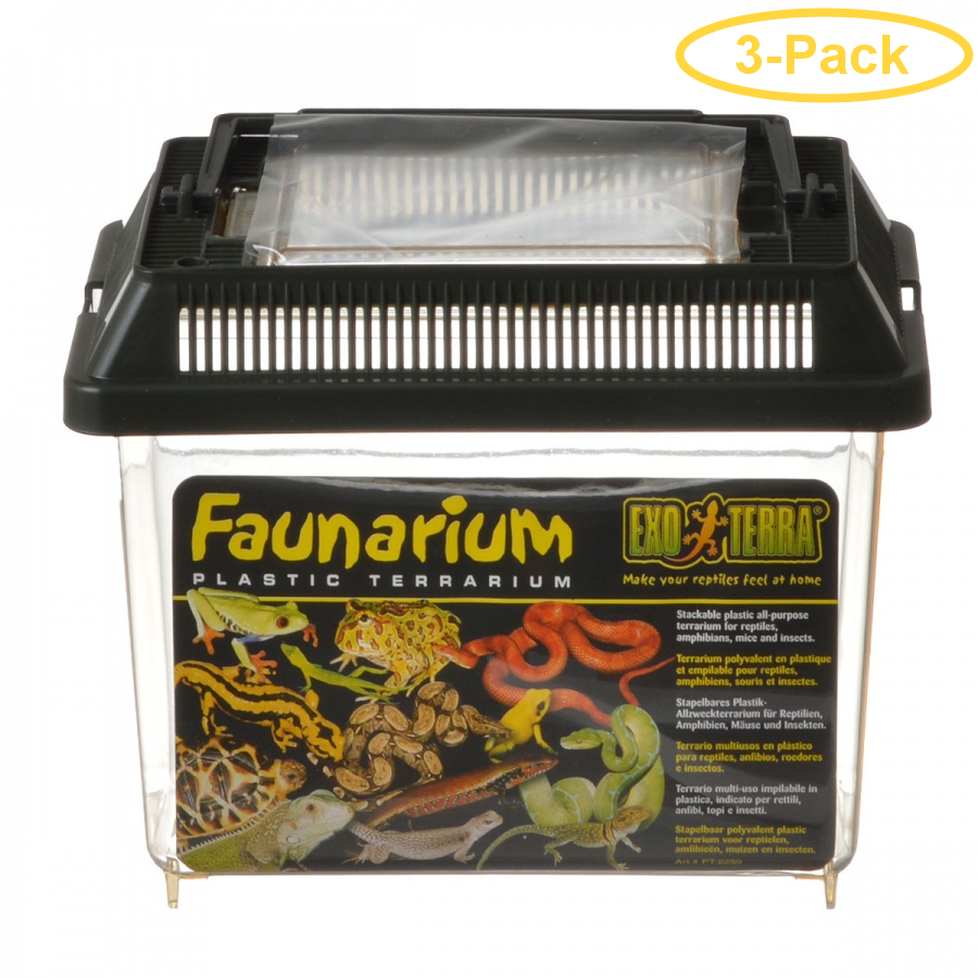 ExoTerra Faunarium Plastic Terrarium Mini (7L x 4W x 5H) Pack of 3