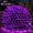 Purple, variant on Christmas Net Lights 96 LED 6.5ft x 9.8ft Outdoor Christmas Bush Lights with 8 Modes, Connectable, Waterproof and Durable for Trees, Bushes, Christmas Decorations, Multicolor