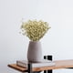 thumbnail image 5 of Tallos Artificiales, Bayas, Plantas de Simulación DIY para Decoración, Mesa de Cena , B Fernando  tallo de baya feke, 5 of 8