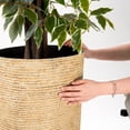 thumbnail image 7 of QCQHDU 21 inch Tall Planters with Saucer,2 Pack 9 Gallon Stone Round Pots for Indoor Plants,Outdoor Patio & Porch Decor, Heavy Duty Weatherproof Plant Containers,Beige, 7 of 7
