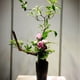 thumbnail image 3 of 4 Herramientas de Fijación de Arreglo Floral Ajustable Ikebana Sticks, 3 of 9