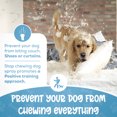 thumbnail image 6 of DOG REPELLENT For Couch | Stop Biting Spray | Dog Potty Training | Don't Pee Here, 6 of 6