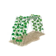 Over the Top Cucumber and Squash Trellis