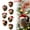 6 Pcs E, variant on DAMAI Forest Animal Acorn Ornaments With Christmas Hat Berry Pinecone, 2026 New Cozy Woodland Animal Christmas Tree Decor, 2D Flat Acrylic Pine Cone Animal Hanging Pendants for Xmas Nature Lovers