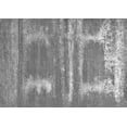 thumbnail image 1 of Ahgly Company Indoor Rectangle Oriental Gray Industrial Area Rugs, 5' x 7', 1 of 4