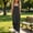 Black, variant on Dungarees for Kids Girls, Girls Casual Overalls Baggy Wide Leg Pants Jumpsuit Playsuit Navy 5-6Years