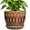 Columnar Brown, variant on Ceramic Pots for Plants - 5 Inch Plant Pot Indoor with Drainage Hole and Saucer, Outdoor Flower Pot, Decorative Round Planter for Succulent Orchid Snake Plants, White