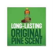 Multi-Surface Cleaner Disinfectant Pine, 24 oz Bottle
