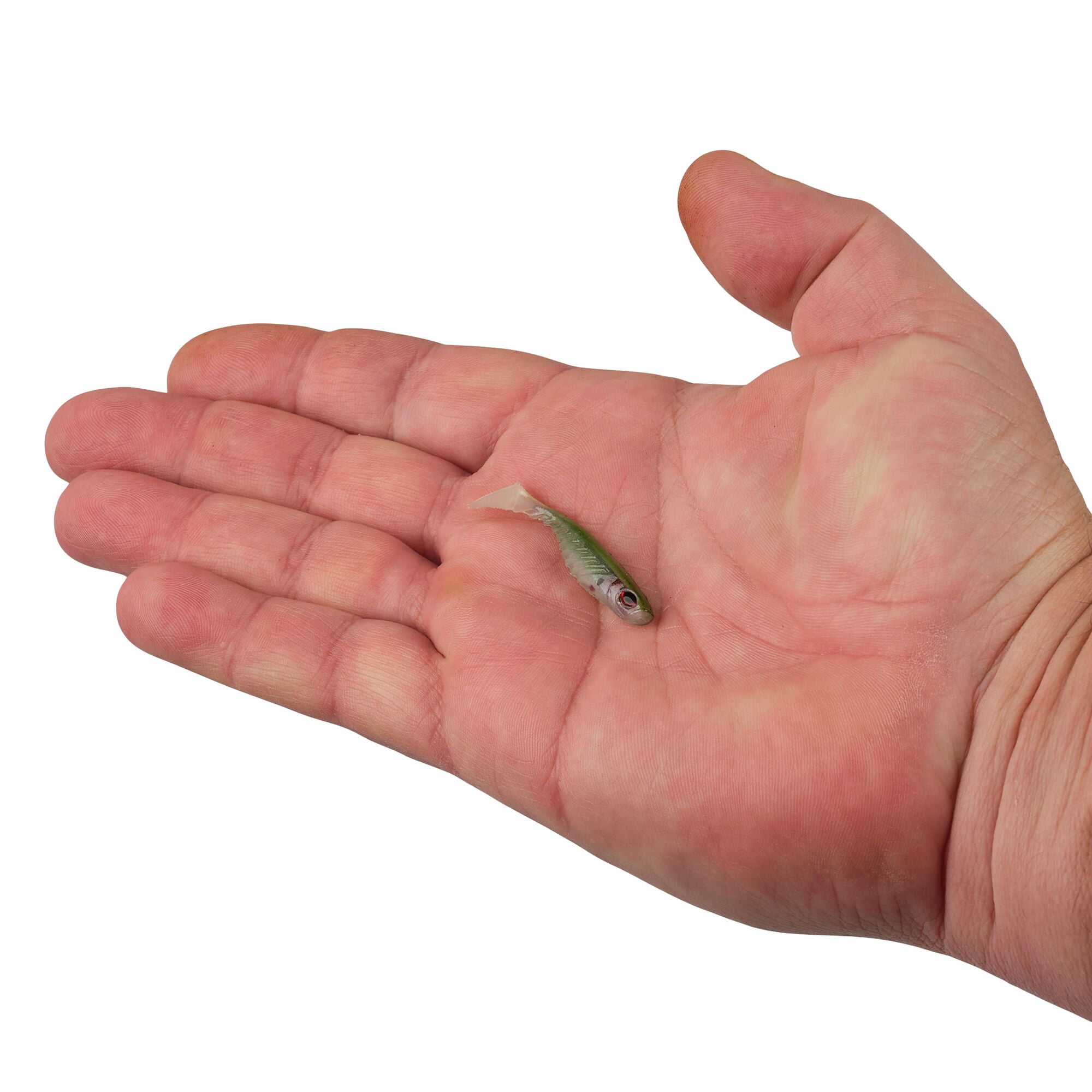 Berkley PowerBait Ripple Shad Fishing Soft Bait