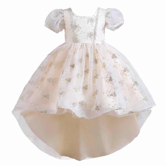 Odeerbi Girls Dresses Flower Girl Dress Children Baby Middle-aged Children's Embroidered Gauze Dress Princess Dress