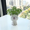 thumbnail image 2 of Laughing Cat Small Potted Plant, 2 of 2