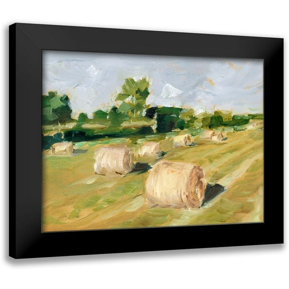 Harper, Ethan 14x12 Black Modern Framed Museum Art Print Titled - Hay Field II
