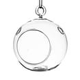 thumbnail image 1 of Athenas Garden HCH0105 5 in. Globe de Terrarium Suspendu Rond Clair&44; Ensemble de 2, 1 of 1