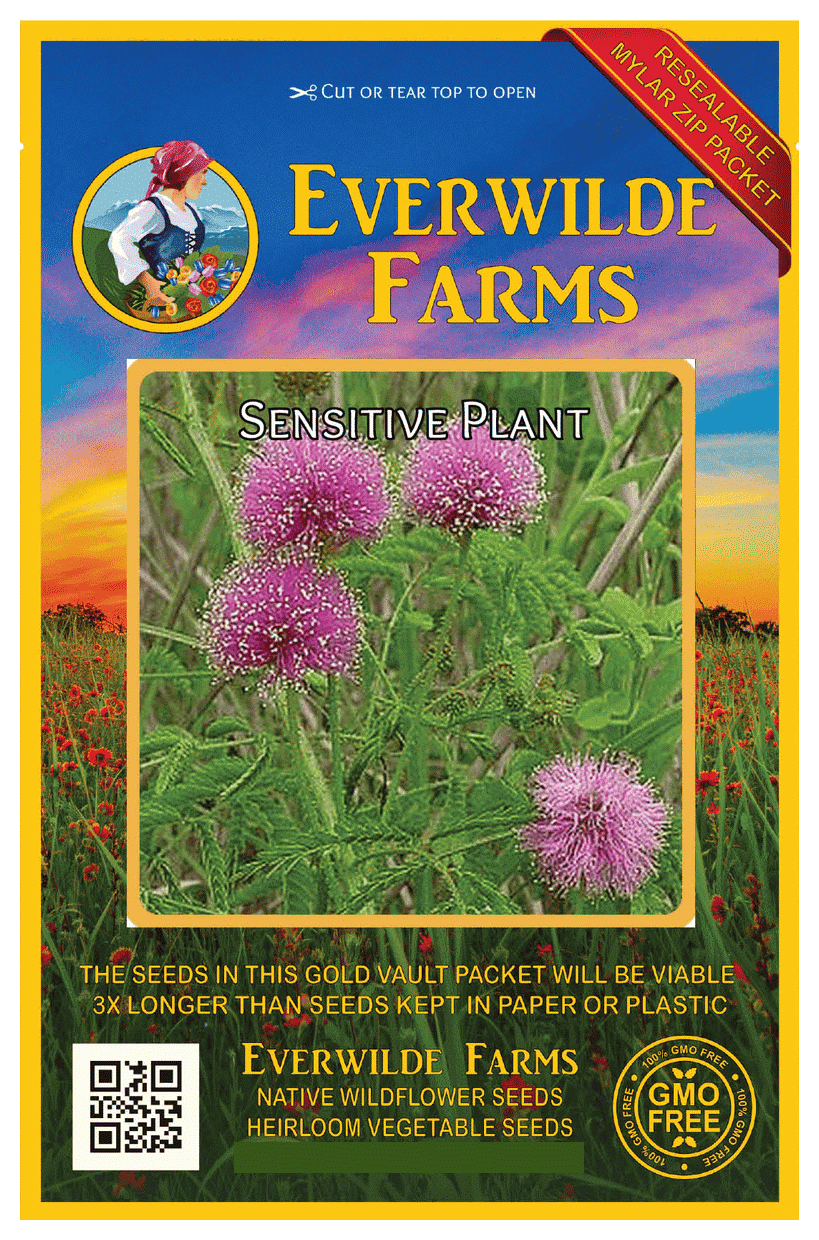 Everwilde Farms 50 Sensitive Plant Native Wildflower Seeds Gold