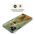 thumbnail image 2 of Head Case Designs Famous Animals Common Squirrel Monkey Hard Back Case Compatible with Apple iPhone 13 Mini, 2 of 7