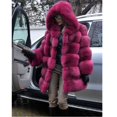 thumbnail image 1 of Women Winter Faux Fur Coat Cozy Jacket Hooded Thicken Coat, 1 of 1