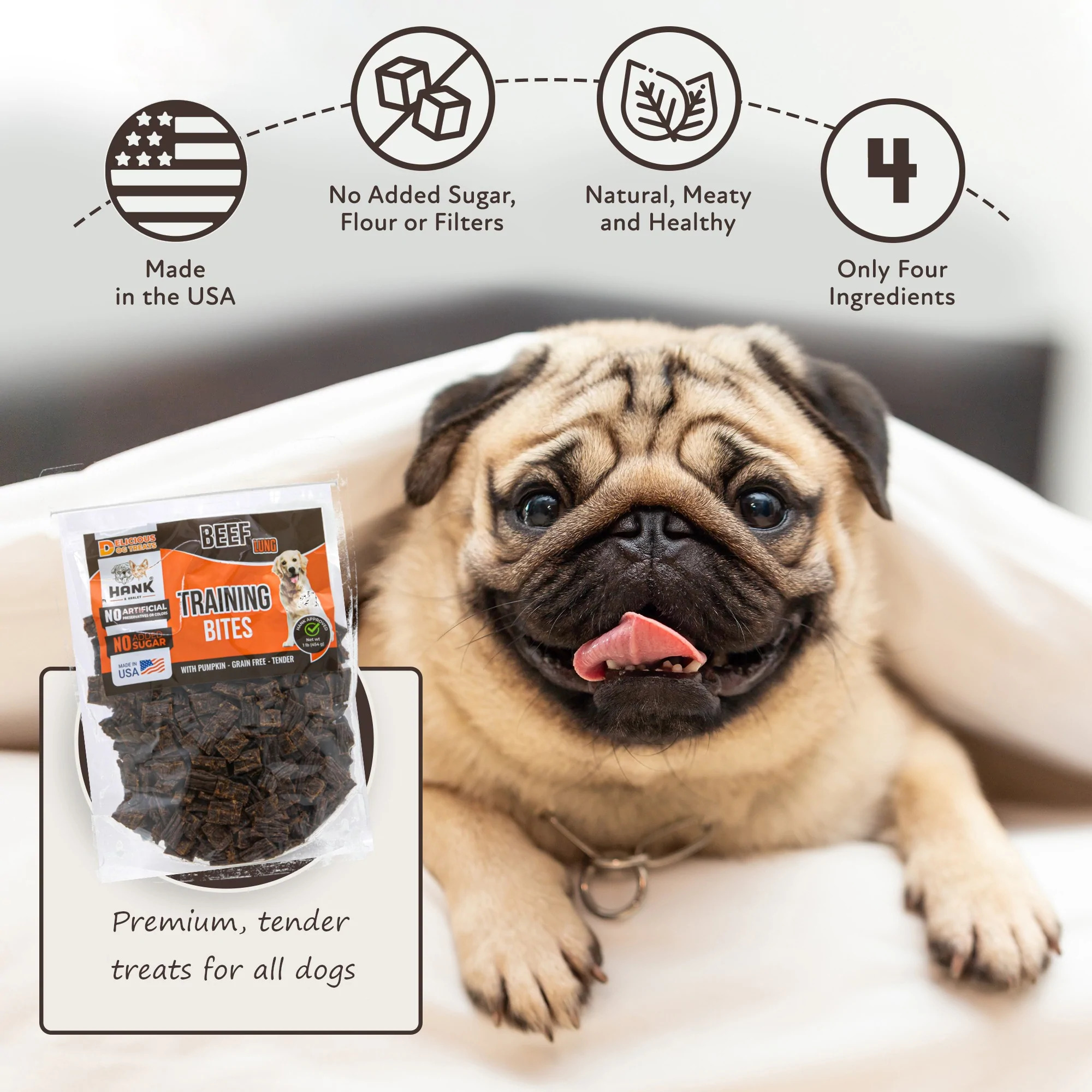Training Bites - USA Lean Beef Soft Dog Treats with Pumpkin. NO Flour, Fillers or Sugar