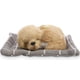 thumbnail image 3 of Muñeca de animal de simulación, muñeca de animal de simulación encantadora, muñeca de peluche, muñeca de peluche, perro, rendimiento de alta gama, 3 of 8