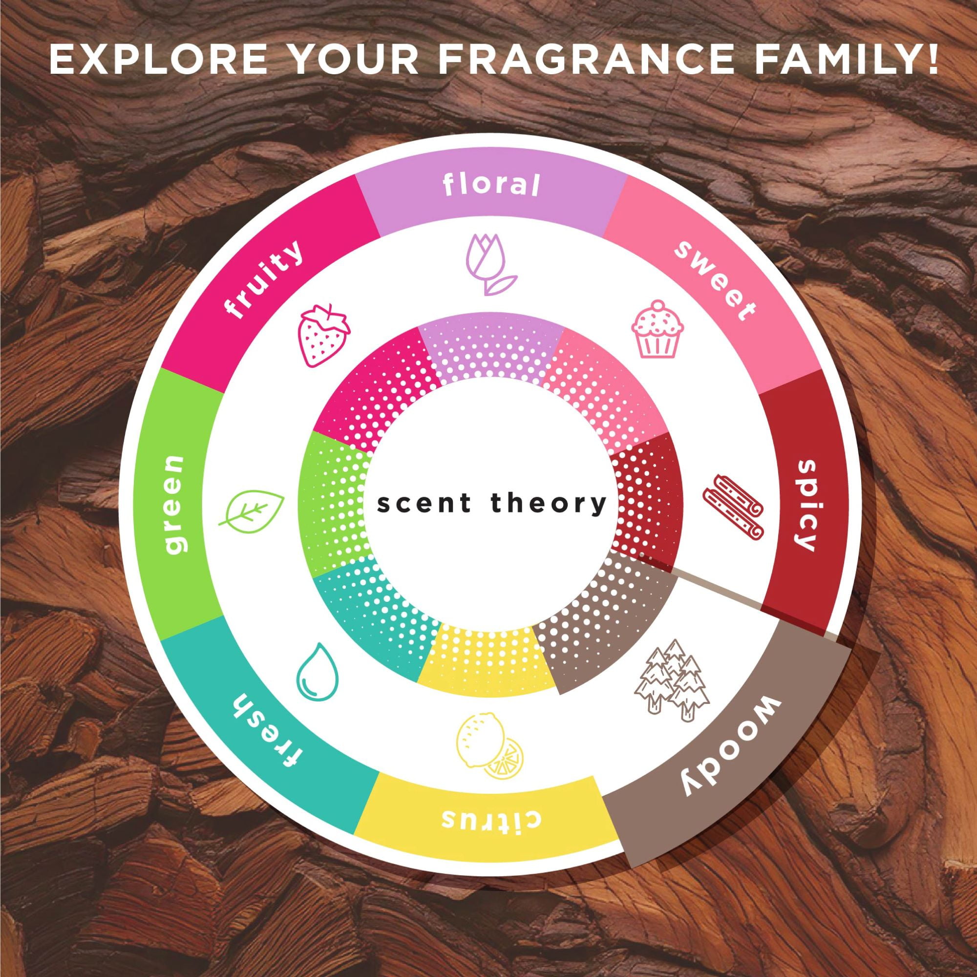 Scent Theory Foaming Hand Soap, Sandalwood and Cracked Oat, 11 fl oz