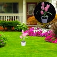 thumbnail image 1 of unbranded Solar Para Exteriores Rosa Luces Decorativas Para Patio Y Jardín, 1 of 7