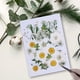 thumbnail image 3 of Artesanía de flores secas naturales Ramos en relieve Flores prensadas Decoraciones florales Decorativos para el hogar para tarjetas de boda Vela de resina Blanco Floral Speravity HA010758-06, 3 of 7