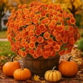 thumbnail image 5 of 20 Bundles Artificial Mums - Artificial Outdoor Sunset Flowers, UV Resistant Look Real, for Balcony Porch Patio （F), 5 of 7