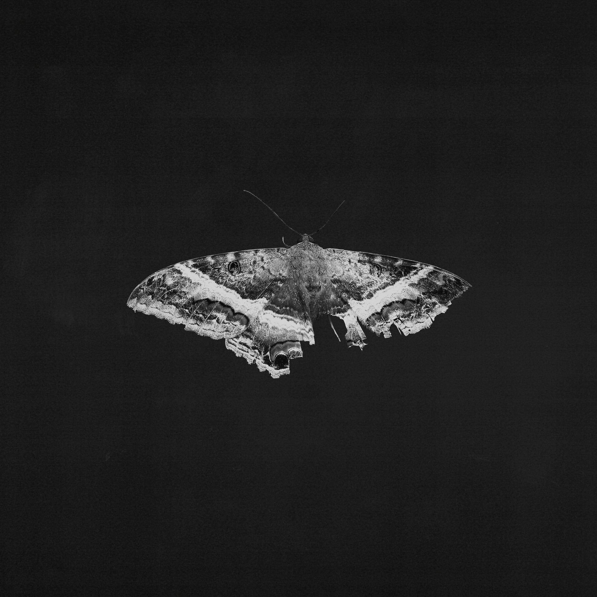 Kendrick Lamar - To Pimp A Butterfly (10 Year Anniversary Edition) - Vinyl