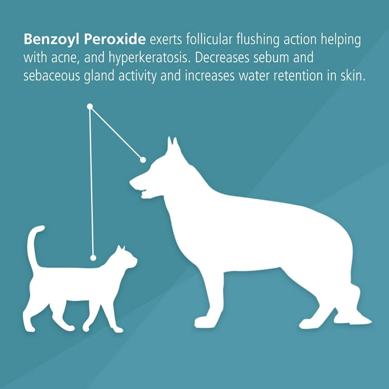Folliculitis dog shop shampoo