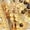 Gold, variant on Women's Long Sleeve Sequin Crew Neck Fashion Pullovers Sweatshirt, Gold, Medium