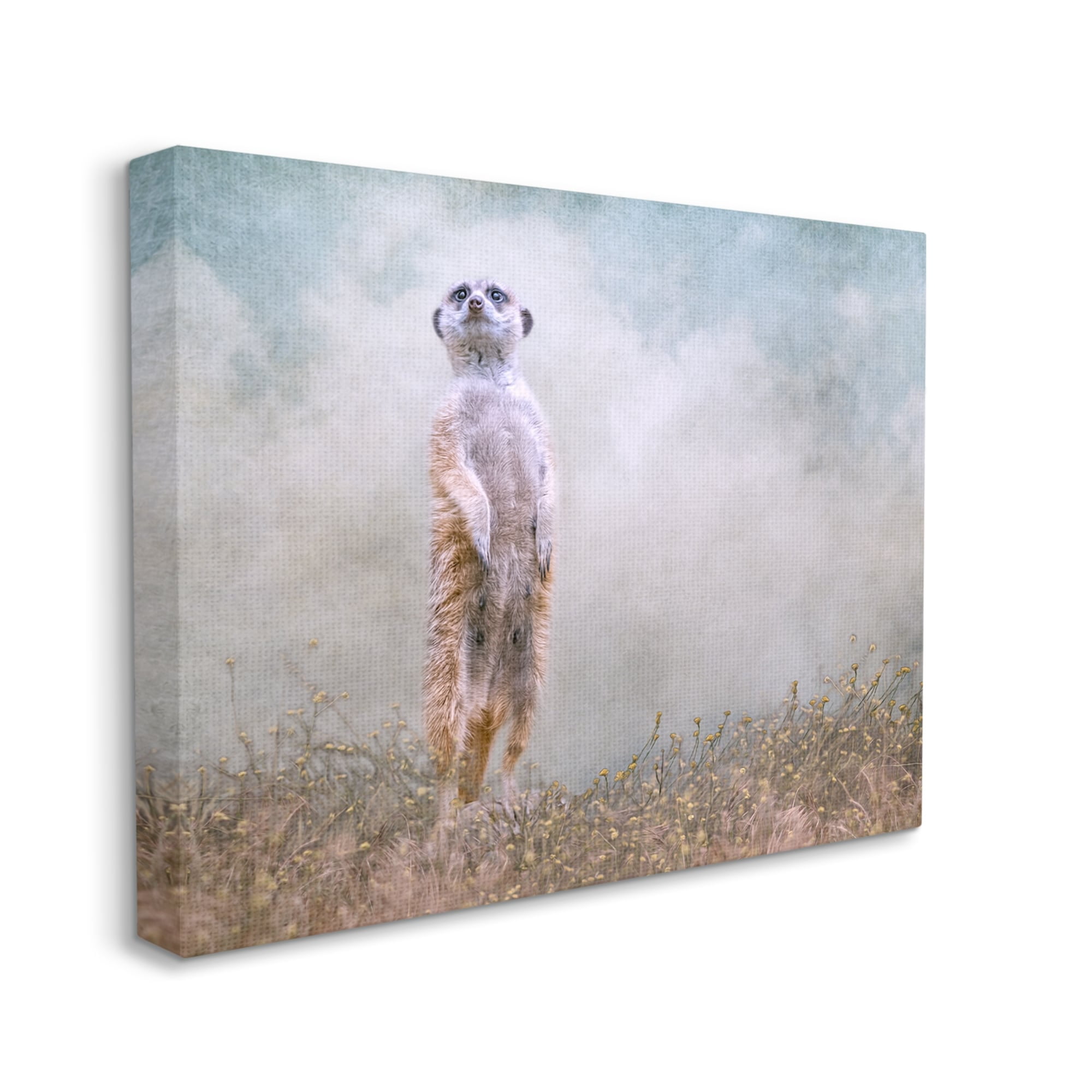Stupell Meerkat Watching Prairie Nature Animals & Insects Photography Gallery Wrapped Canvas Print Wall Art