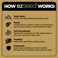 thumbnail image 5 of Scotts EZ Seed Dog Spot Repair Tall Fescue Lawns, 2 lbs., 5 of 11