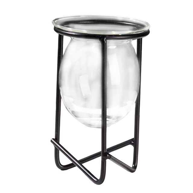 Florero con hierro para plantas, Metal hidropónico, artística, soporte para centro de , soporte para , Alto Colco jarrón de marco de hierro