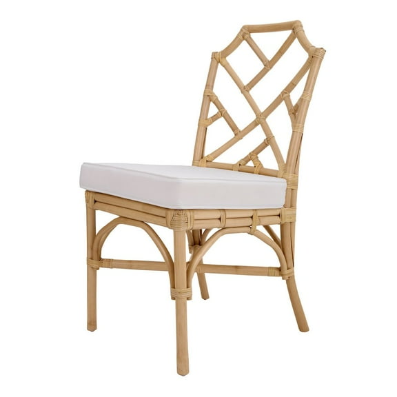 NPD Furniture Kara Rattan Dining Side Chair (Set of 2)