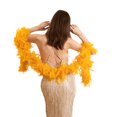 thumbnail image 1 of Chandelle Feather Happy Feather Turkey de Feather, 80 g, 5,9 pies, color dorado, 1 of 5