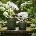 thumbnail image 6 of BUYMAX 5" & 6" Ceramic Orchid Pots with Holes and Trays, Island Palm Verdigris Patina, Set of 2, 6 of 6