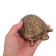 thumbnail image 5 of YSNOOWE Turtle Garden Statue Caja Para Llaves De Hierro Fundido Ideal Para Y Uso Exterior, 5 of 6