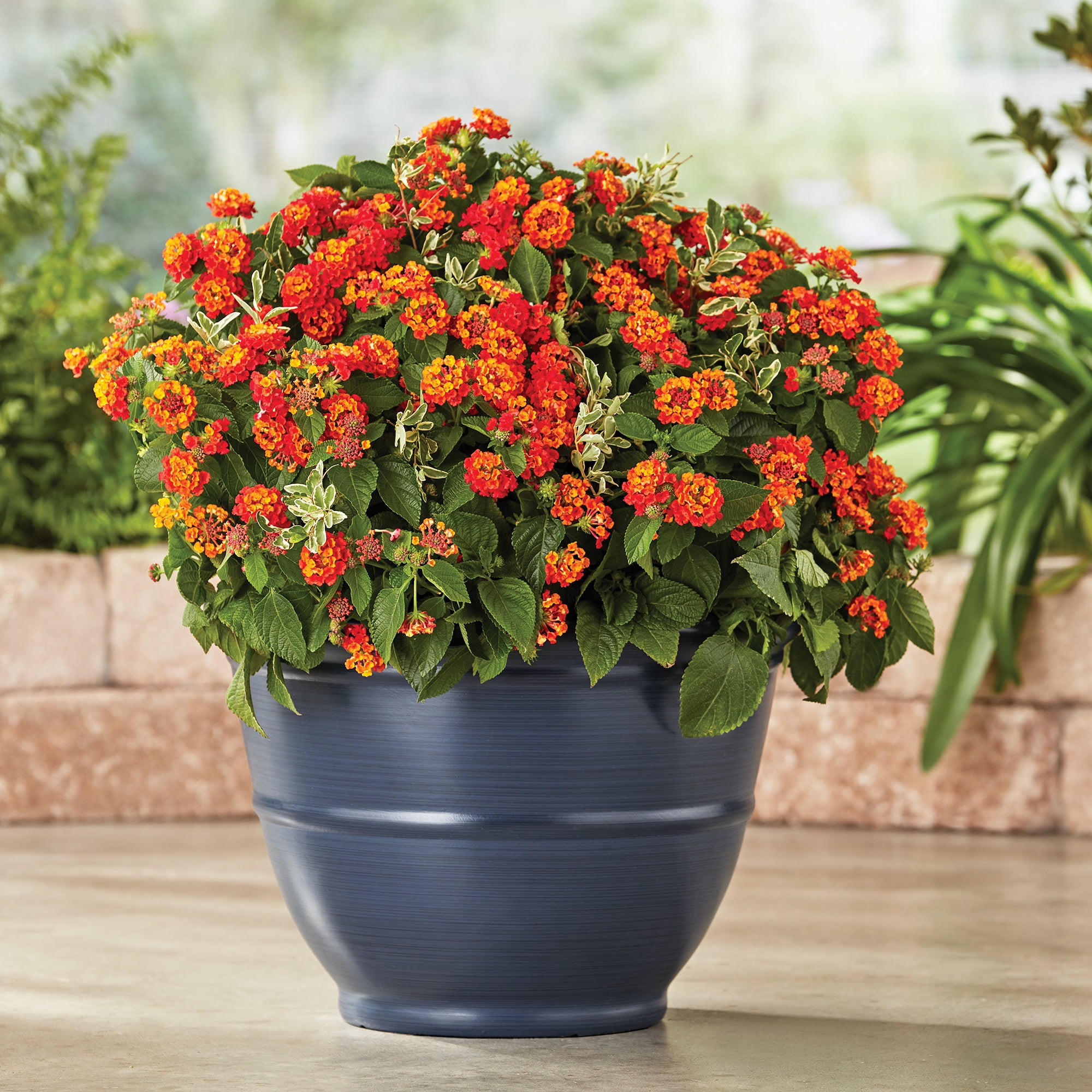 Mainstays Ferenza 14inch Round Planter Blue color, Recycled Resin