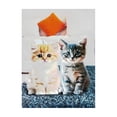 thumbnail image 4 of Kittens 3D Pop-Up Greeting Card | Handmade Pop up Card for Birthdays, Anniversaries, Thank You Notes & More | Stunning Craftsmanship White Envelope & Packaging, 4 of 7
