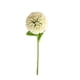thumbnail image 1 of Ramo de Boda Artificial Naiovety 10 Piezas Flor de Simulación Verde Claro, 1 of 6
